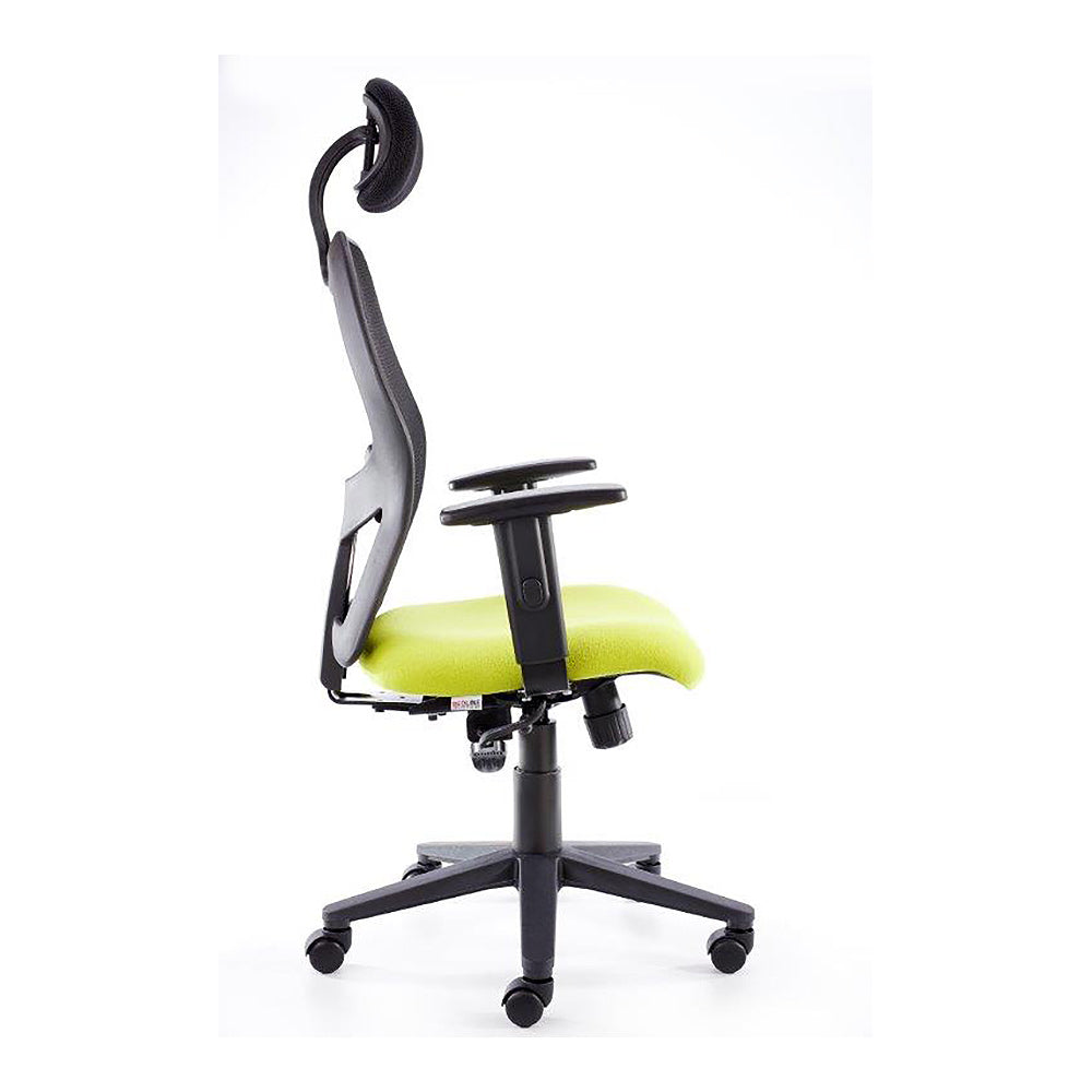 Airo Ergonomic Managerial Mesh Office Chair TC