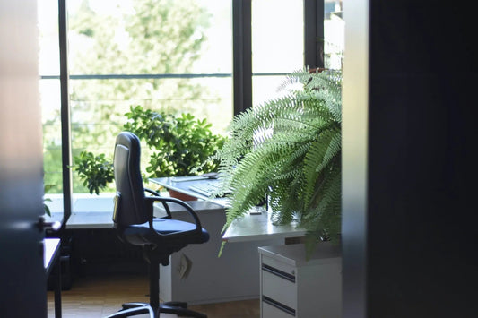Integrating-Biophilic-Design-into-Your-Office-Furniture Ixaxa Office Furniture