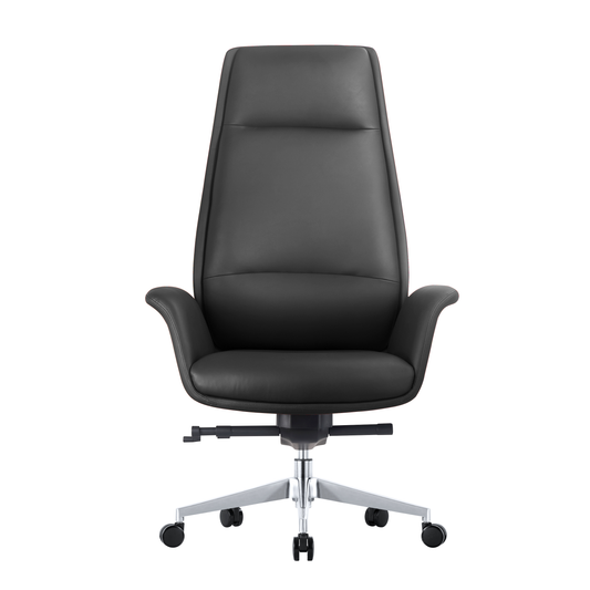 Sohum Plush Leatherette Office Chair 2015