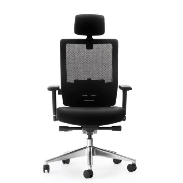Sohum Executive  Mesh Ergonomic Office Chair 5yr Warranty IX