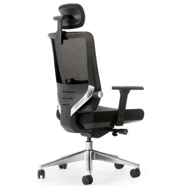 Sohum Executive  Mesh Ergonomic Office Chair 5yr Warranty IX