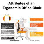 Sohum Executive  Mesh Ergonomic Office Chair 5yr Warranty IX