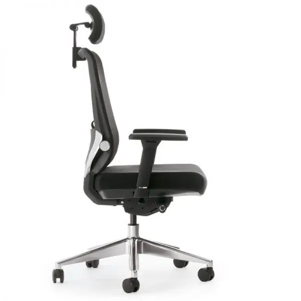 Sohum Executive  Mesh Ergonomic Office Chair 5yr Warranty IX