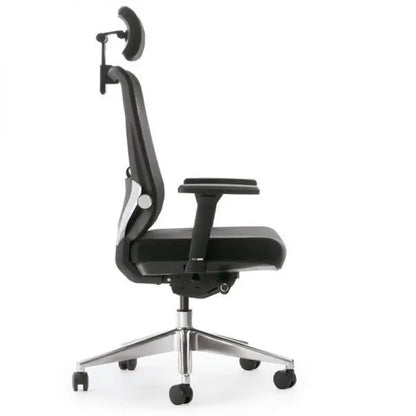 Sohum Executive  Mesh Ergonomic Office Chair 5yr Warranty IX
