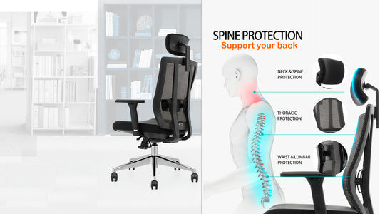 SohTiQ 18 Combo (Waltiq 1.8m Desk with Sohum Managerial Mesh Office Chair)