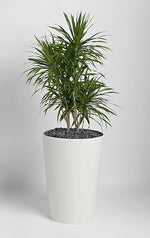 Tapered Round  Planter Boxes 682 KT