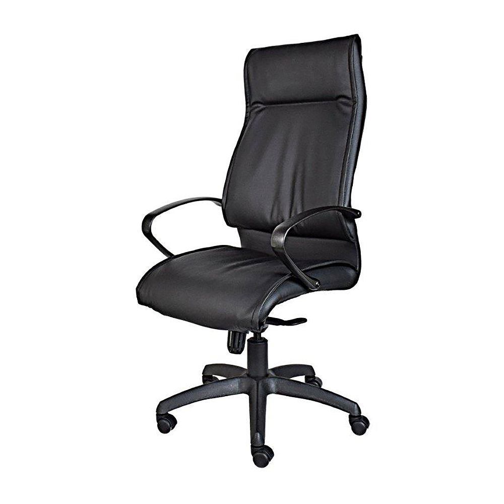Ameira Managerial Leather High Back Office Chair CO