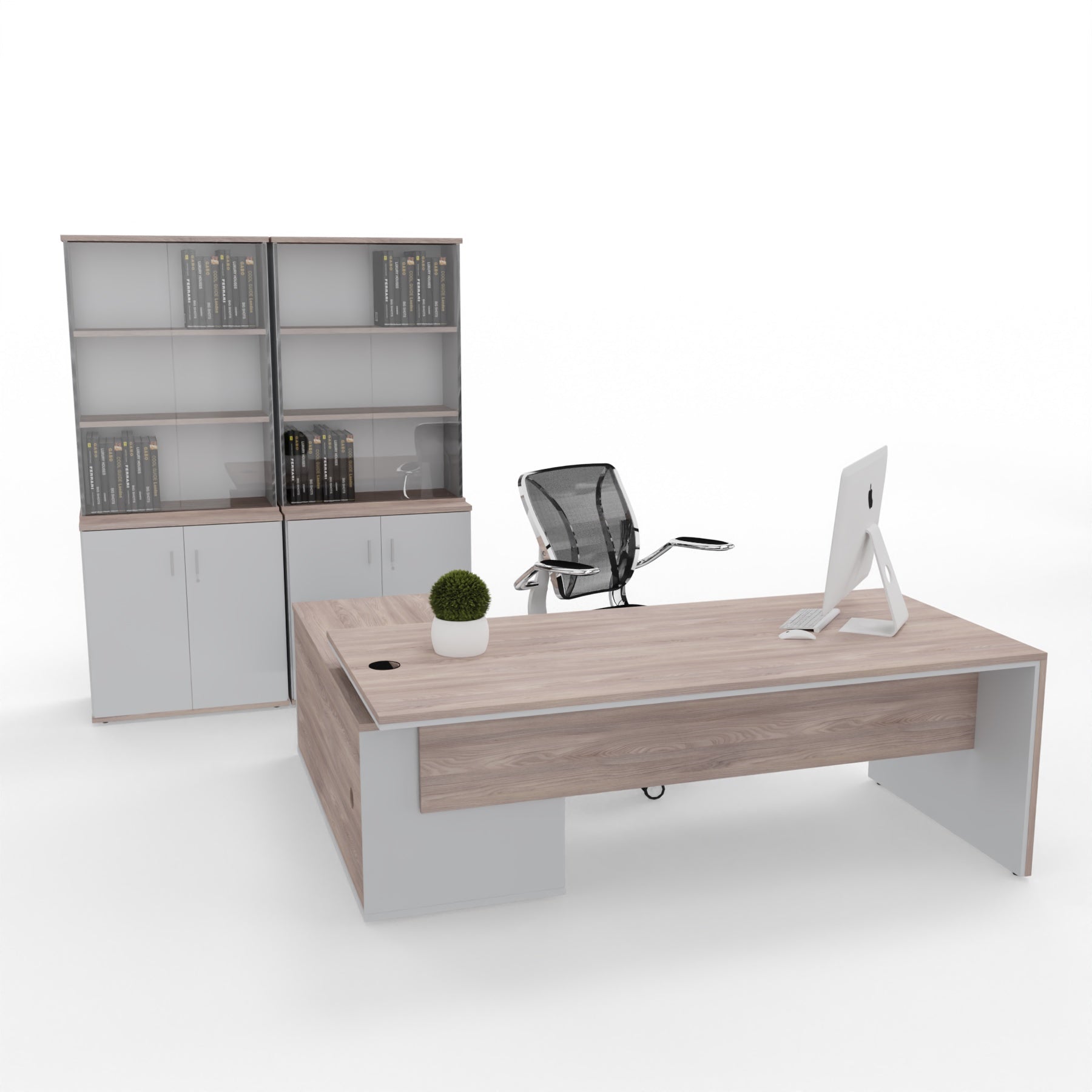 Juno Executive Desk