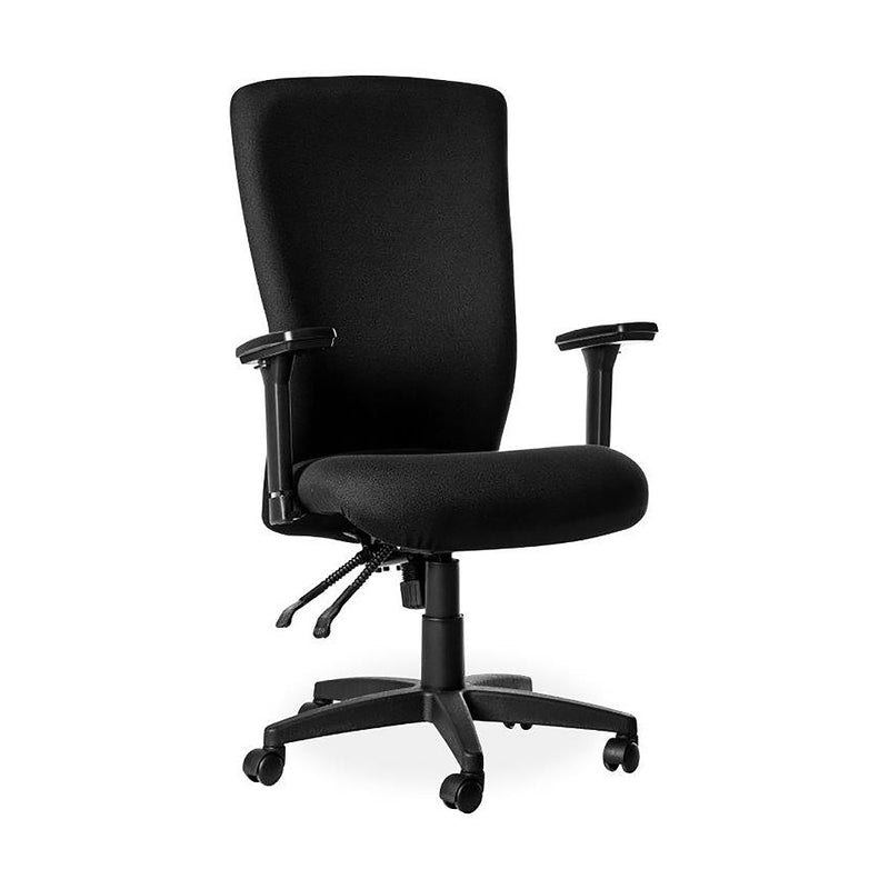 Spine Managerial Fabric Ergonomic Office Chair SA