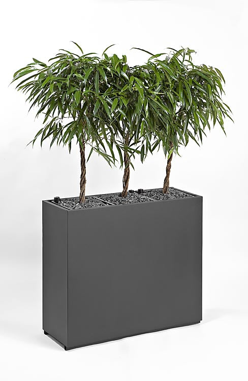 Steel Trough Planter Boxes KT