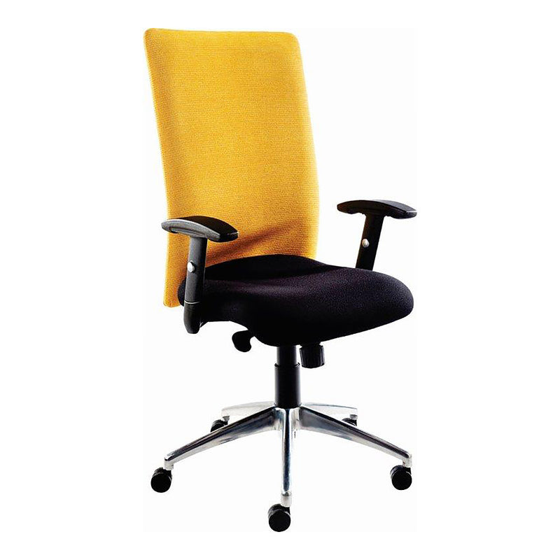Techno 1000 Ergo Manager High-Back Chair TC